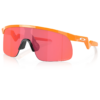 Oakley Resistor