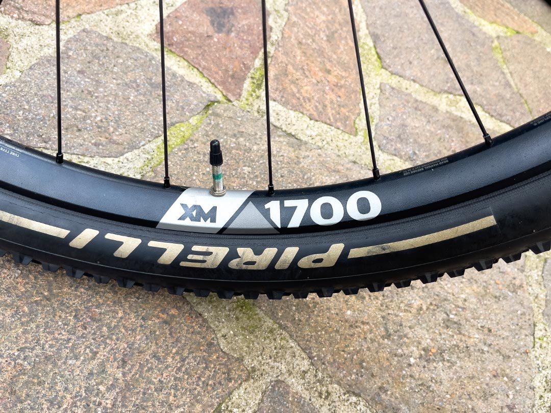 Scott Spark RC Limited Edition Silverfish | TG S - immagine 4