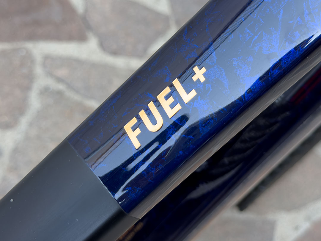 Trek Fuel+ LX 9.8 Eagle 90 Gen 2 | TG M - immagine 10