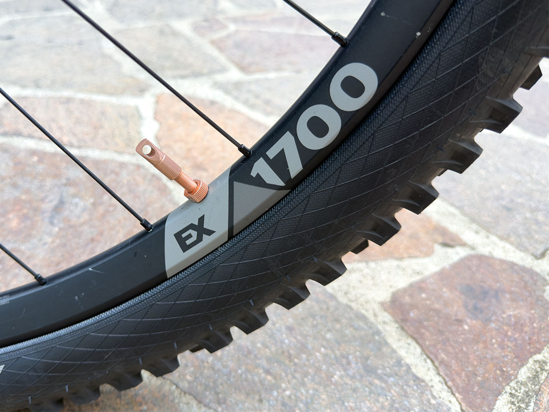 Orbea WILD FS M-TEAM | TG ML - immagine 3
