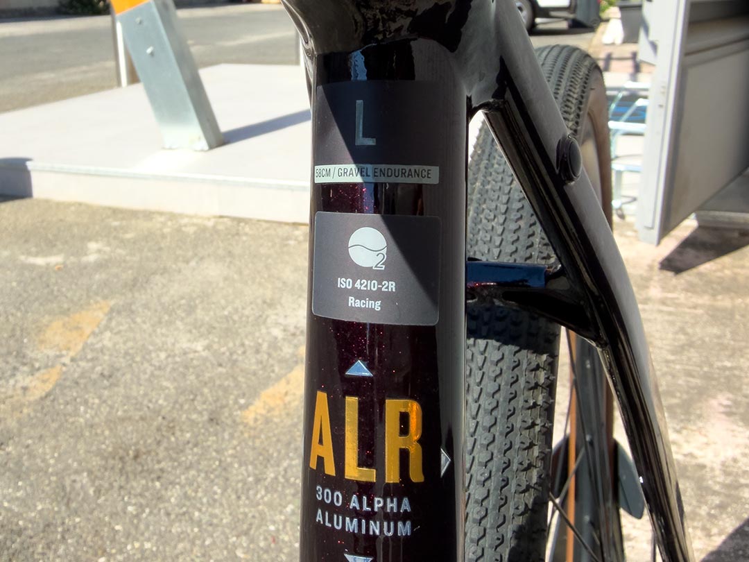 Trek Checkpoint ALR 3 Gen 3 | TG L - immagine 3